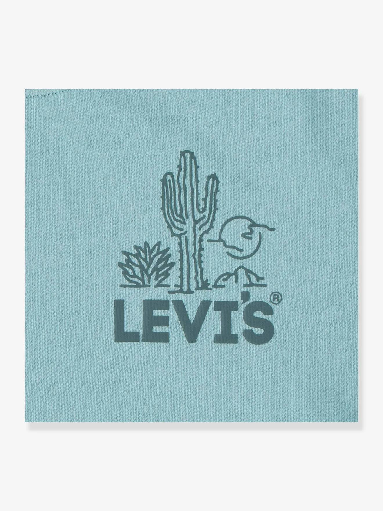 T-shirt graphique garçon Levi's® vert amande - Levi's